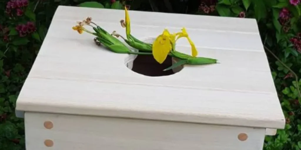 osebna rast parni yoni stol