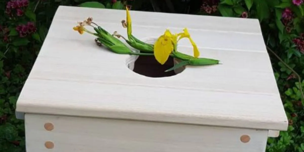 osebna rast parni yoni stol